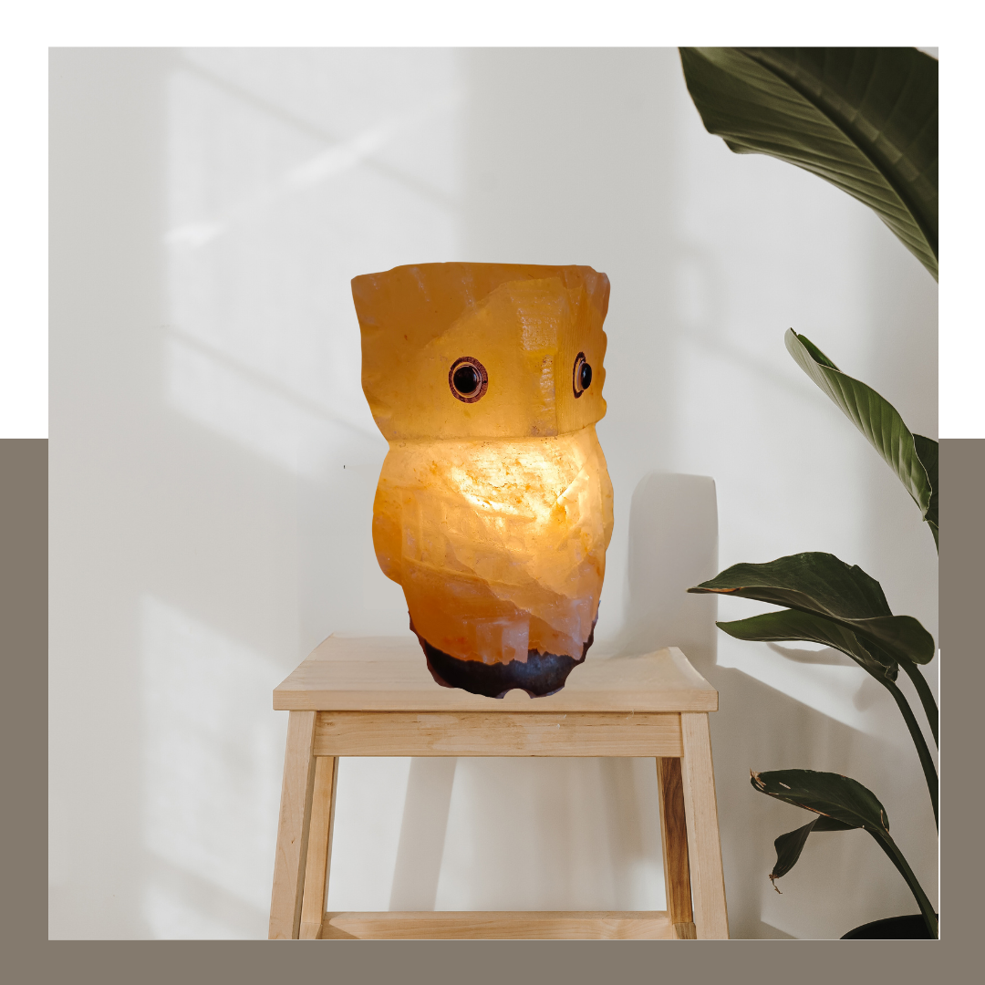 owl shape salt lamp